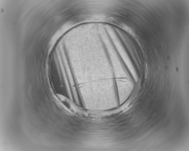 X0000054401480200508262218