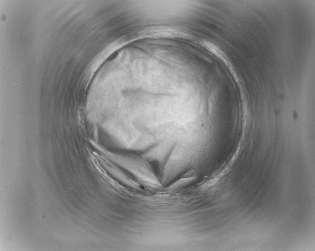 X0000054401481200508262218