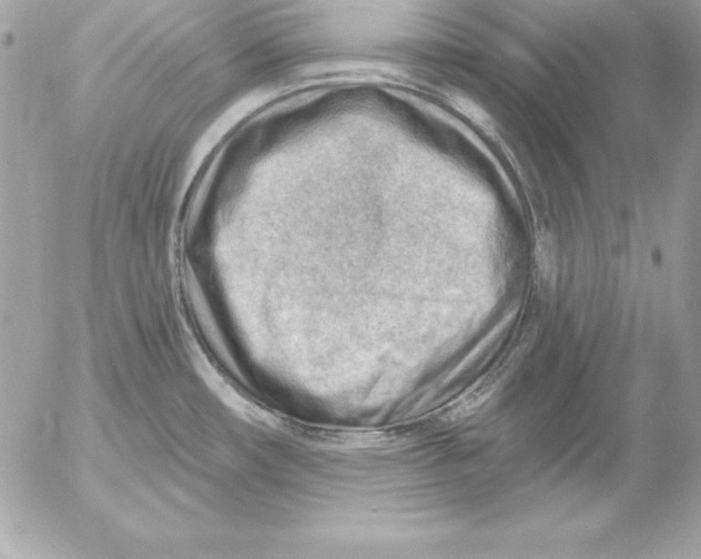 X0000054401482200508262218