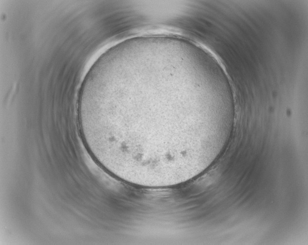 X0000054401483200508262218