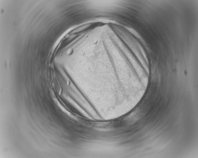 X0000054401484200508262218