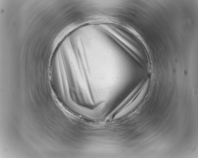 X0000054401485200508262218