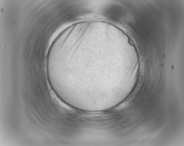 X0000054401486200508262218