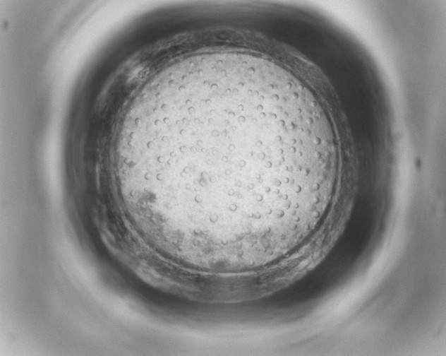 X0000054401487200508262218