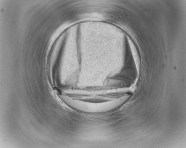 X0000054401488200508262218