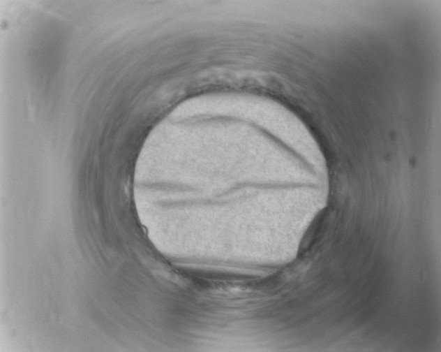 X0000054401489200508262217