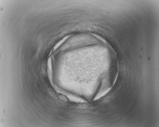 X0000054401490200508262217