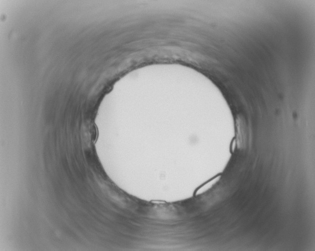 X0000054401491200508262217