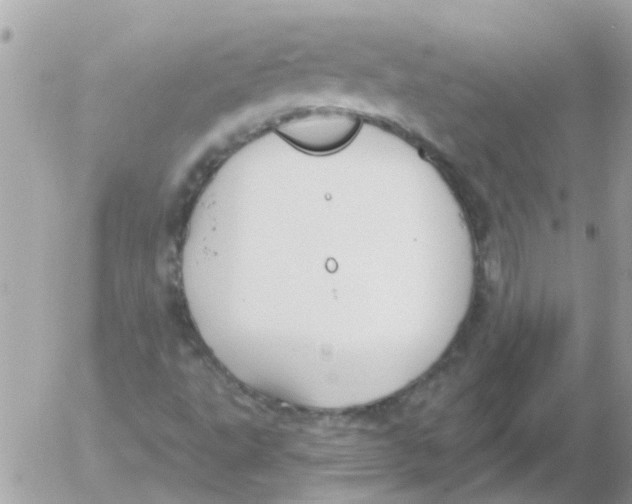 X0000054401495200508262217