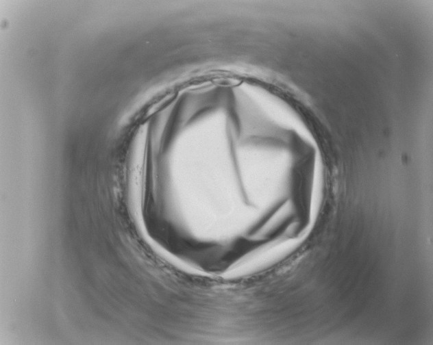 X0000054401496200508262217