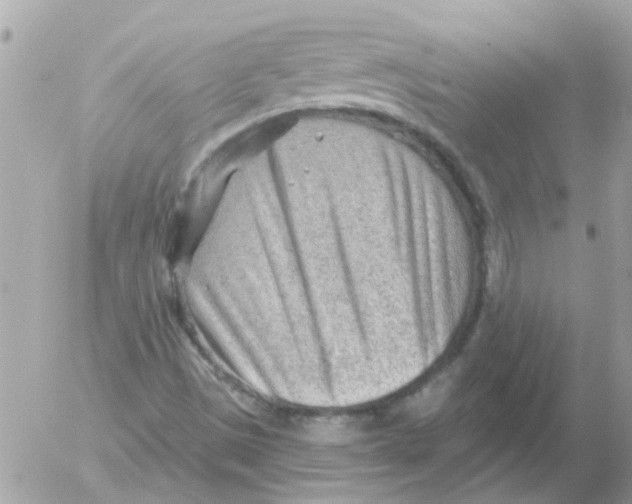 X0000054401497200508262217