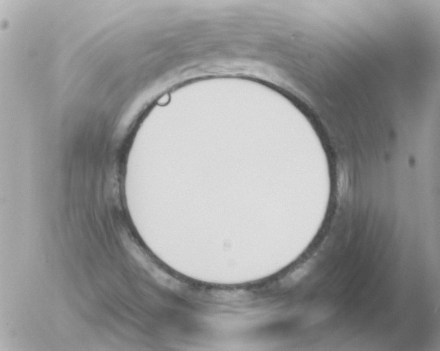 X0000054401498200508262217