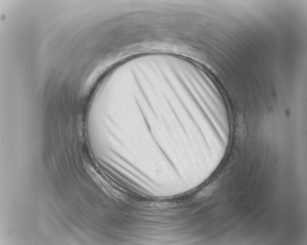 X0000054401499200508262217