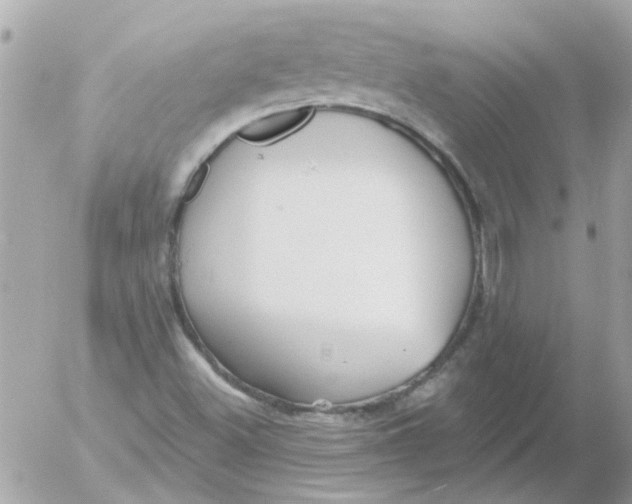 X0000054401500200508262217