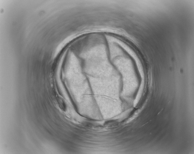 X0000054401501200508262217