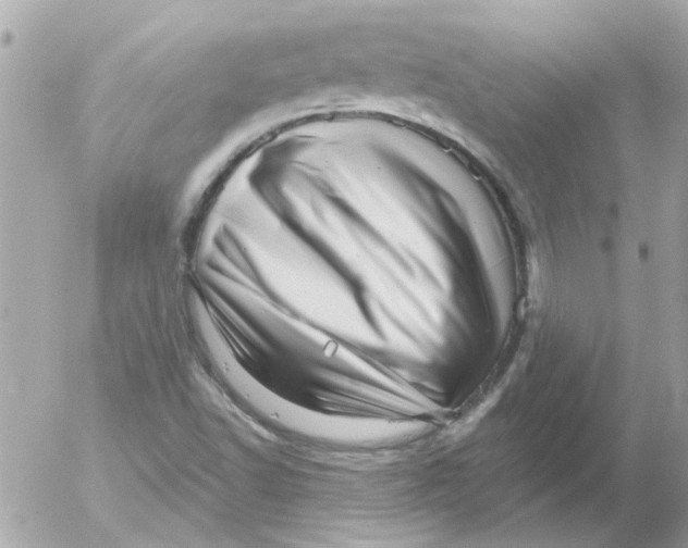 X0000054401502200508262217