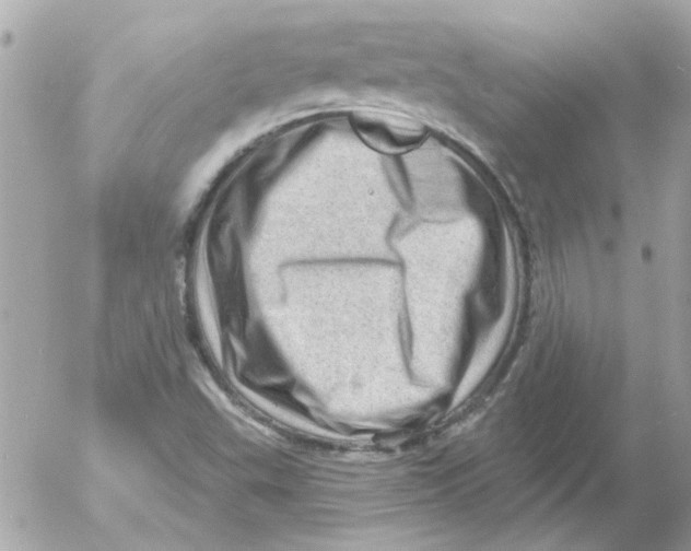 X0000054401503200508262217