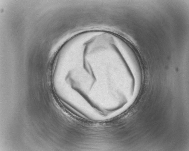 X0000054401504200508262218