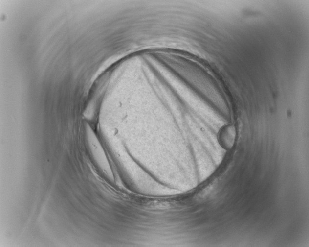 X0000054401505200508262218