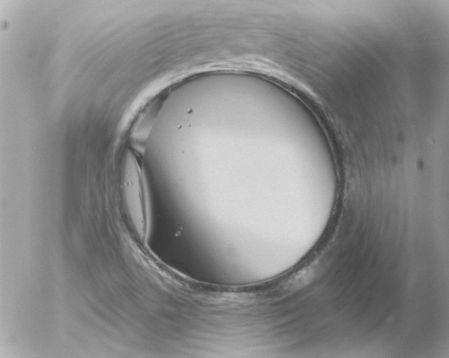 X0000054401506200508262218