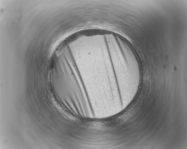 X0000054401507200508262218