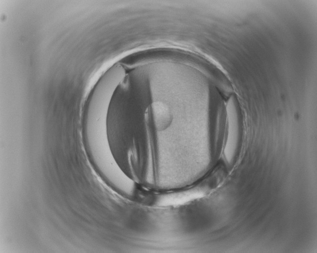 X0000054401508200508262218