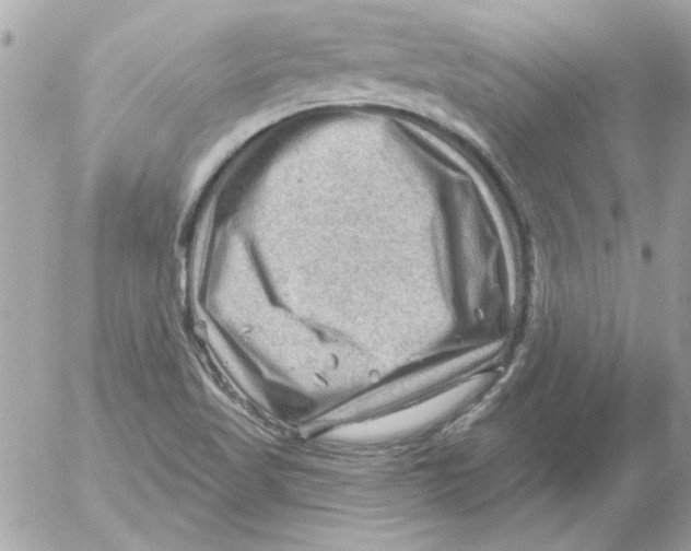 X0000054401509200508262218