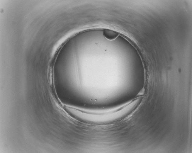 X0000054401510200508262218