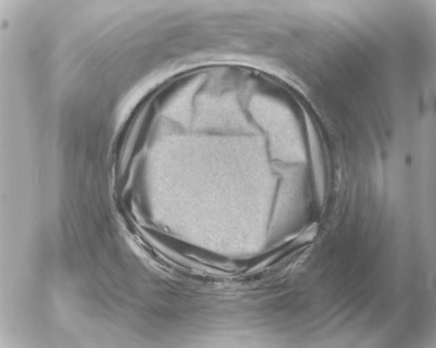 X0000054401511200508262218