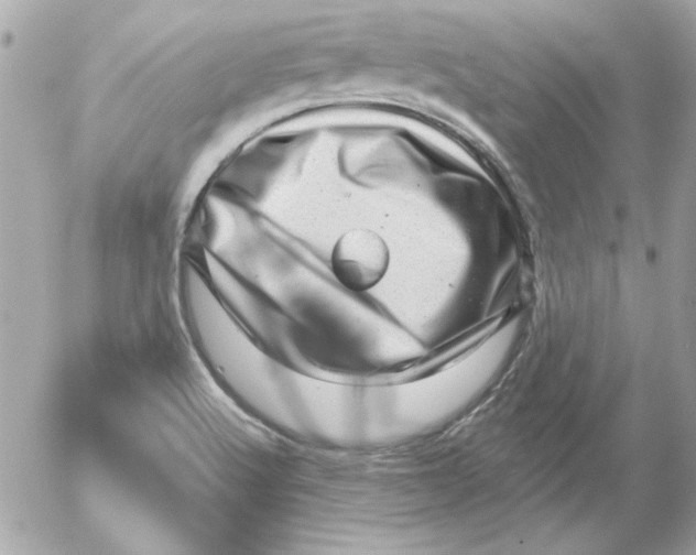 X0000054401512200508262218