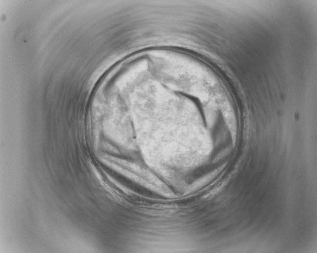 X0000054401513200508262218