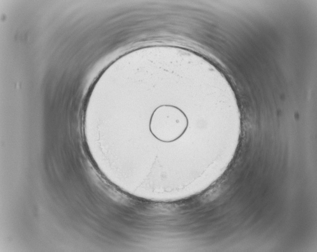 X0000054401514200508262218