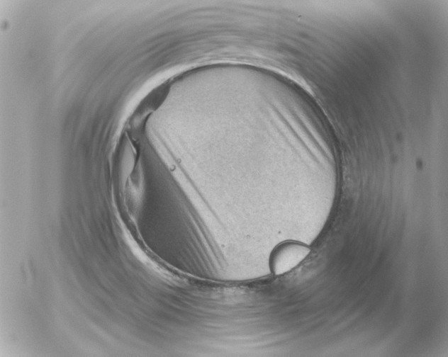 X0000054401515200508262218