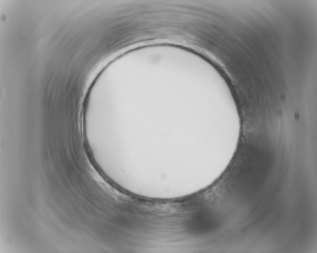 X0000054401516200508262218