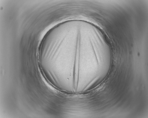 X0000054401519200508262218