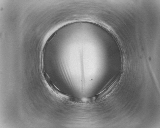 X0000054401520200508262218