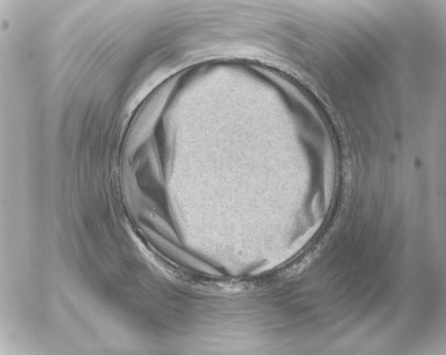 X0000054401521200508262218