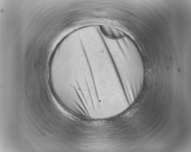 X0000054401523200508262218