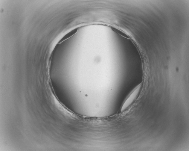 X0000054401524200508262218