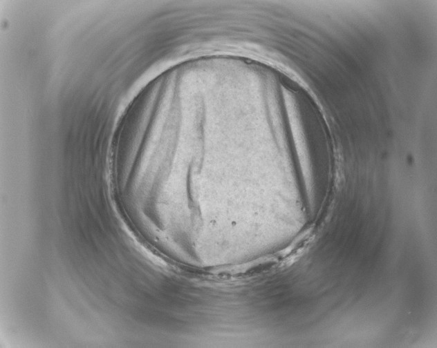 X0000054401525200508262218