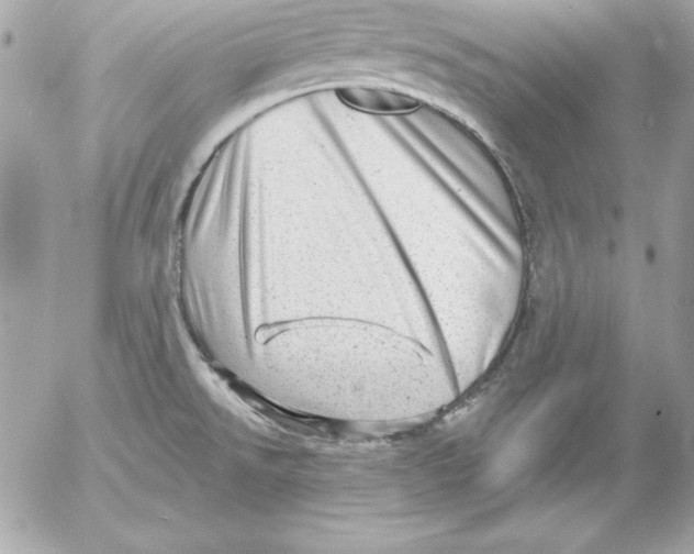 X0000054401526200508262218