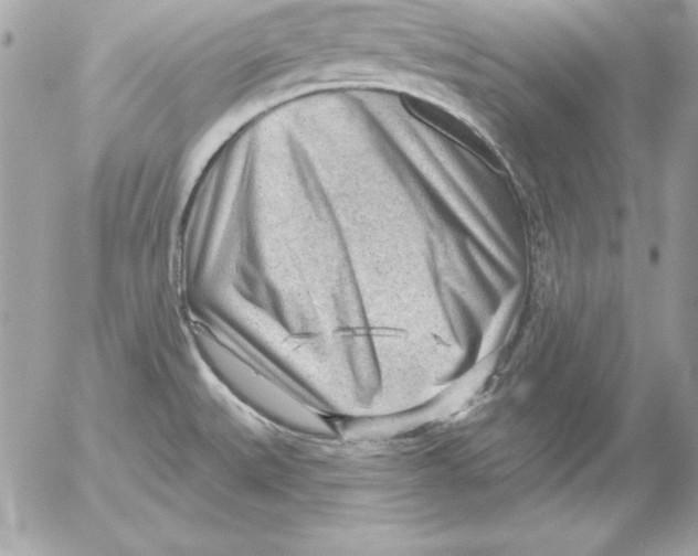 X0000054401527200508262218