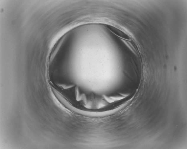 X0000054401528200508262218