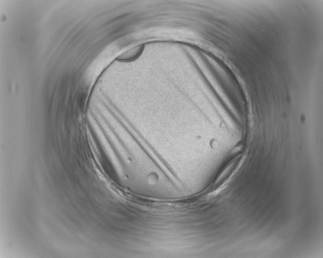 X0000054401529200508262218