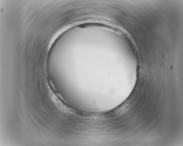 X0000054401530200508262218