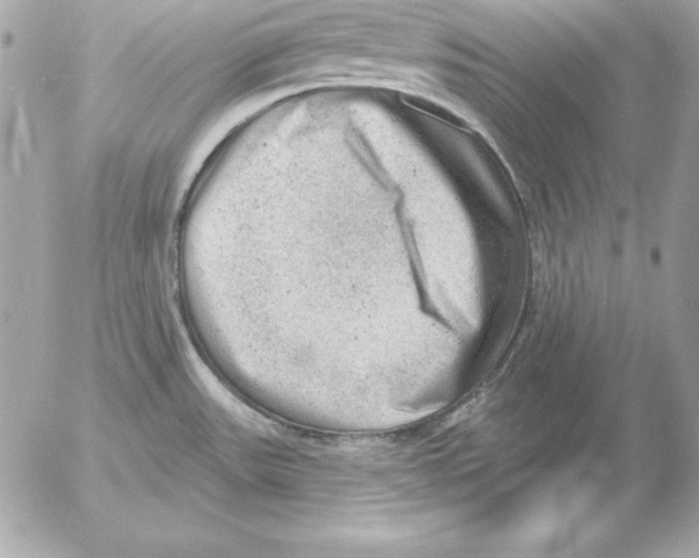 X0000054401531200508262218