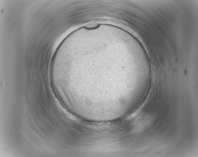 X0000054401533200508262218