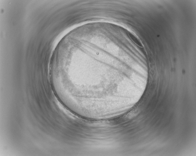 X0000054401535200508262218