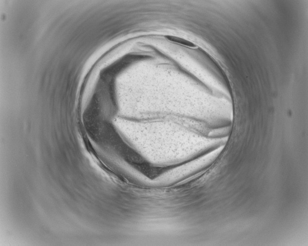 X0000054401536200508262218