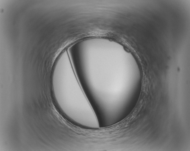 X0000054410011200507290908